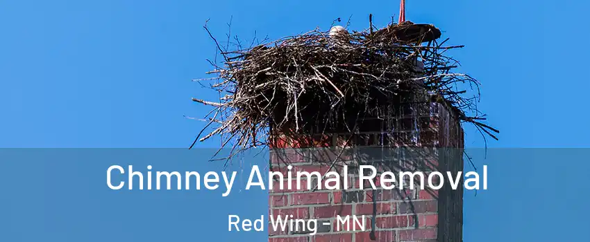 Chimney Animal Removal Red Wing - MN