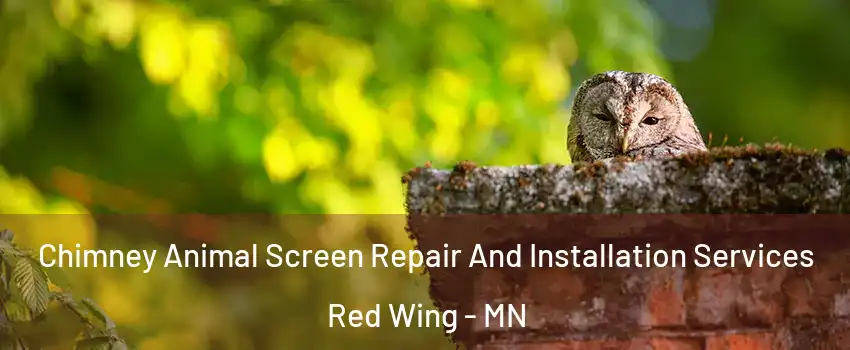 Chimney Animal Screen Repair And Installation Services Red Wing - MN