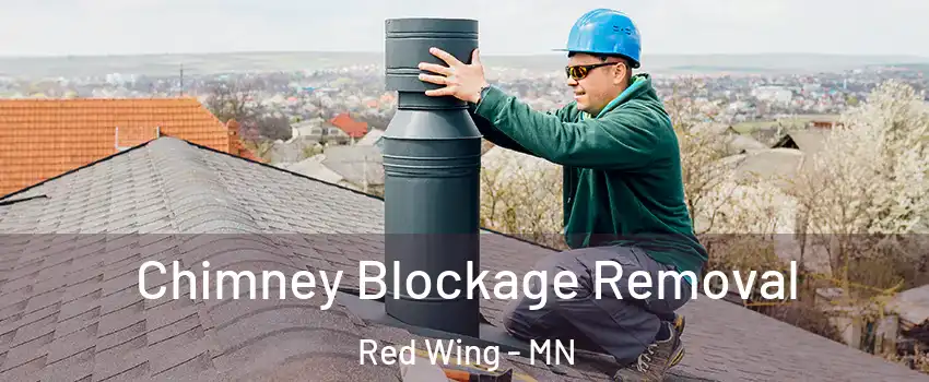 Chimney Blockage Removal Red Wing - MN