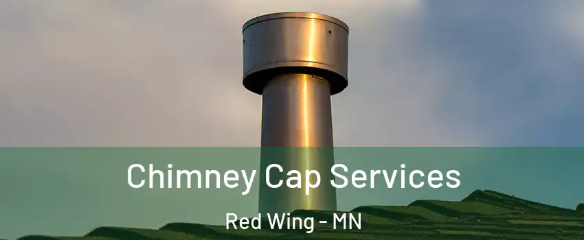 Chimney Cap Services Red Wing - MN