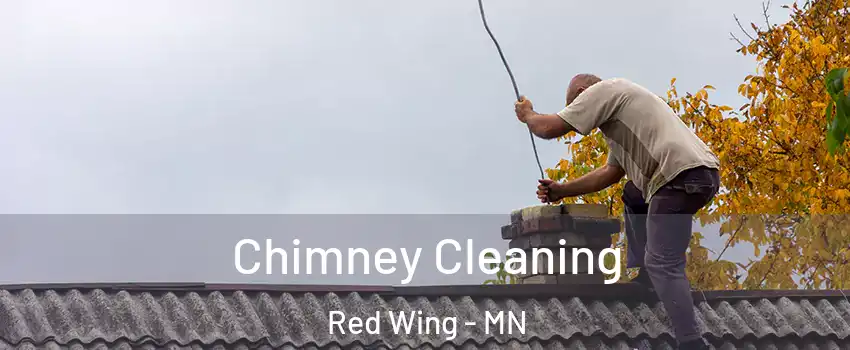 Chimney Cleaning Red Wing - MN