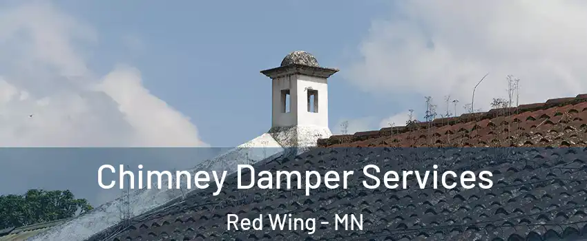 Chimney Damper Services Red Wing - MN