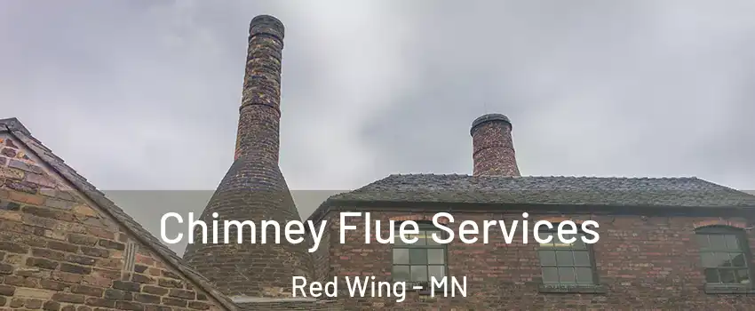 Chimney Flue Services Red Wing - MN