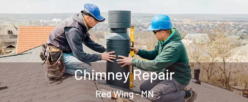Chimney Repair Red Wing - MN