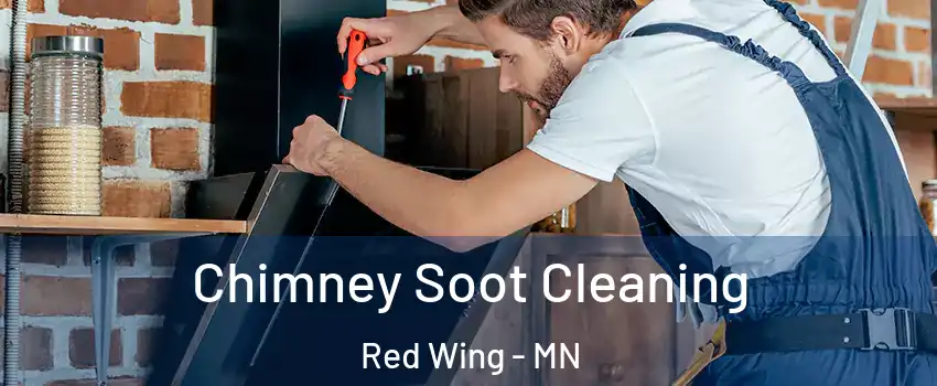 Chimney Soot Cleaning Red Wing - MN