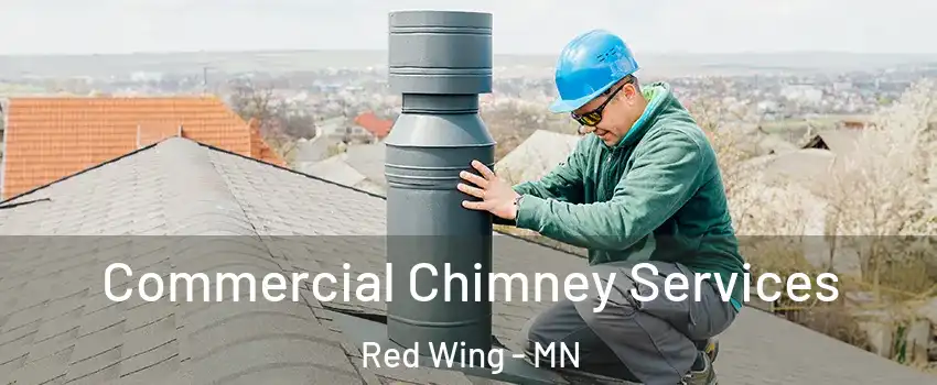 Commercial Chimney Services Red Wing - MN