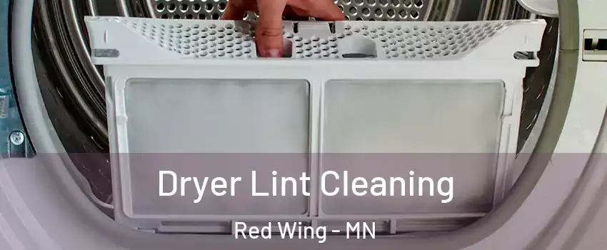Dryer Lint Cleaning Red Wing - MN