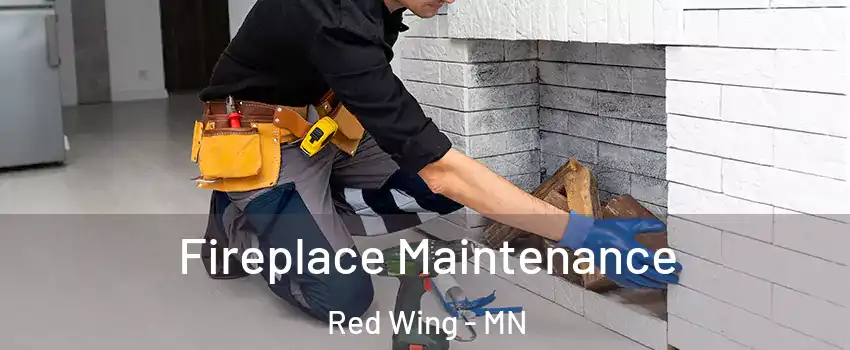 Fireplace Maintenance Red Wing - MN