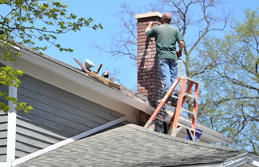 Chimney & Fireplace Inspections Services in Red Wing, MN