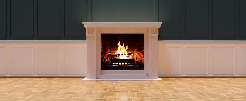 Napoleon Electric Fireplaces Inspection Service in Red Wing, Minnesota