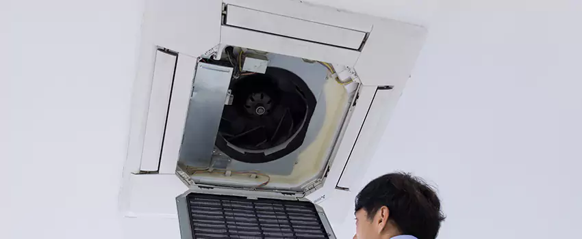 Benefits of Professional Air Duct Cleaning in Red Wing, Minnesota