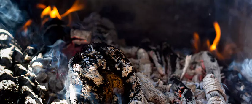 Creosote Removal Experts in Red Wing, MN