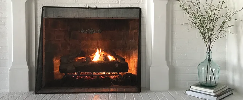 Cost-Effective Fireplace Mantel Inspection And Maintenance in Red Wing, MN