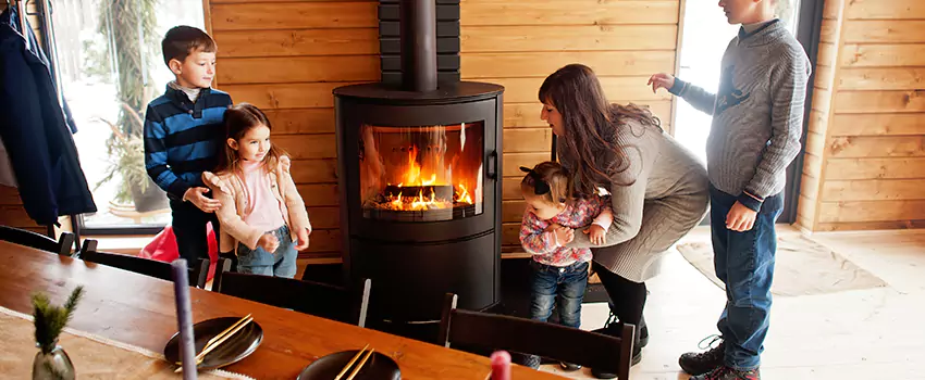 Jøtul Gas Fireplace Inspection Service in Red Wing, Minnesota