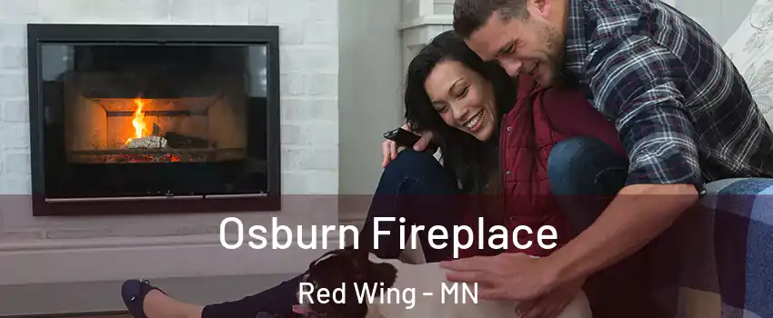 Osburn Fireplace Red Wing - MN